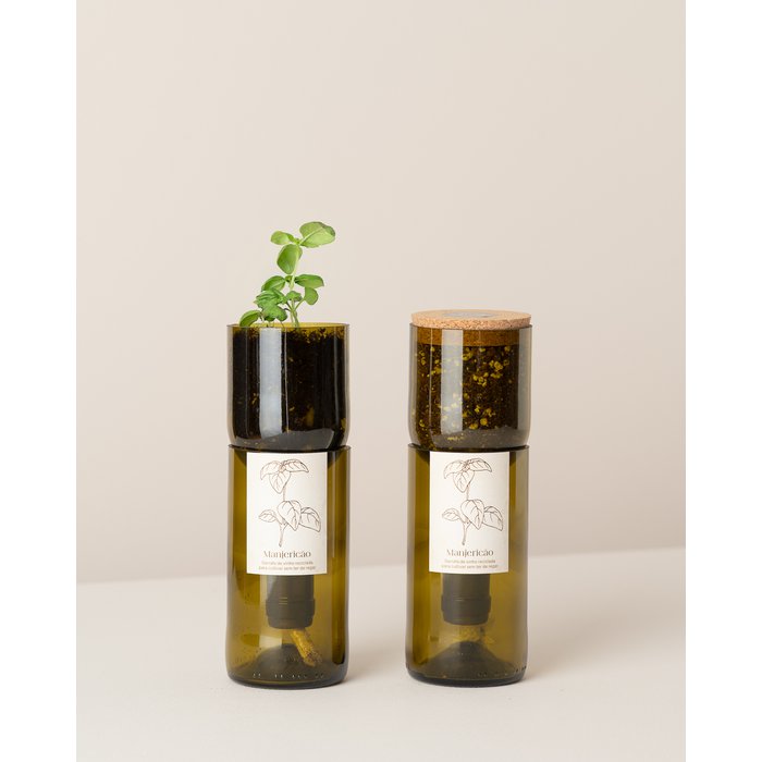 Grow Bottle Basil