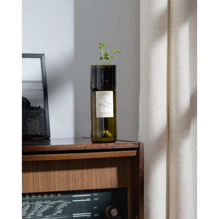 Grow Bottle Basil