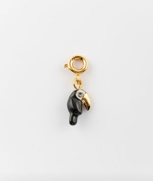 Golden beak toucan charm's