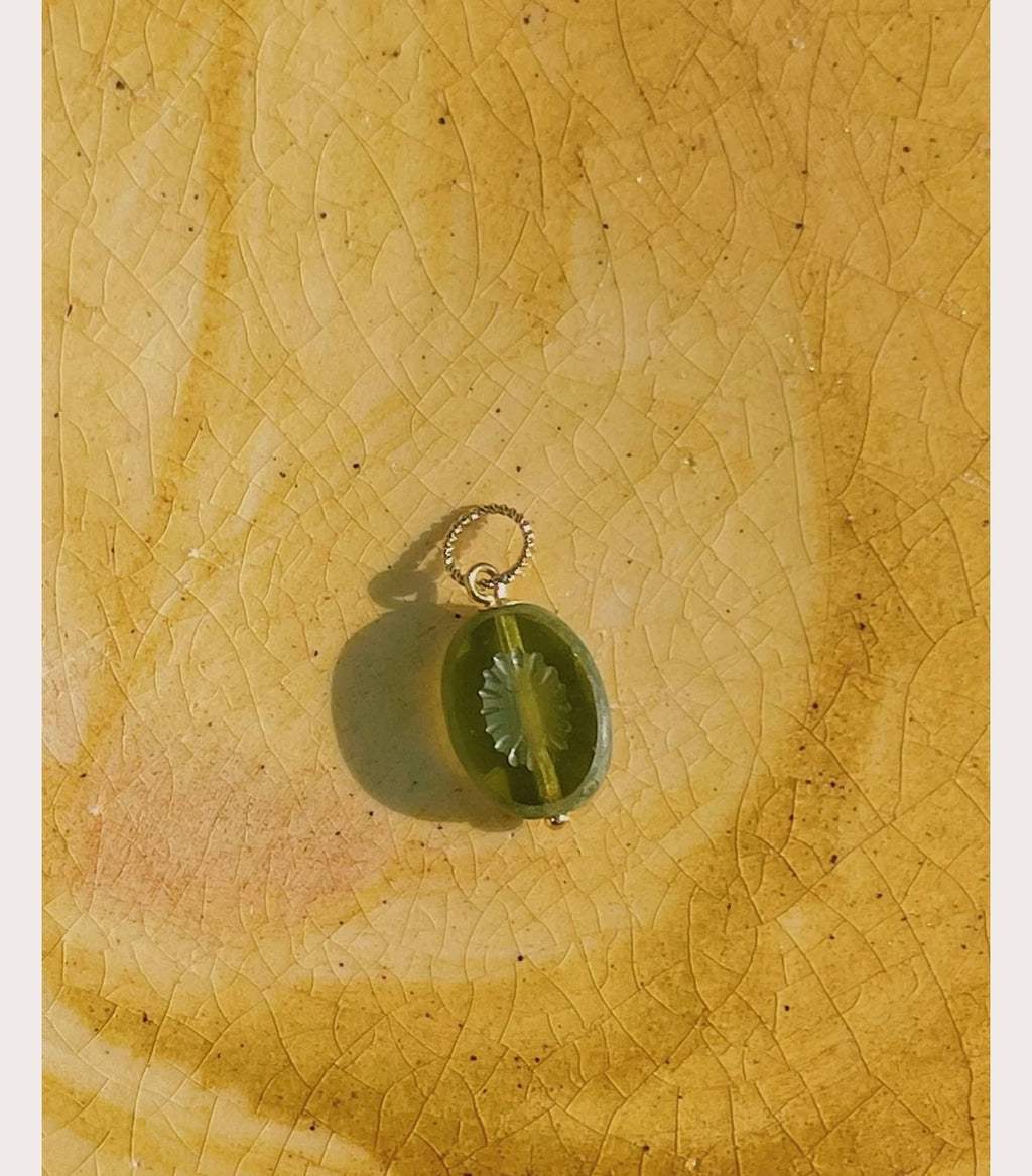 Kiwi Charm
